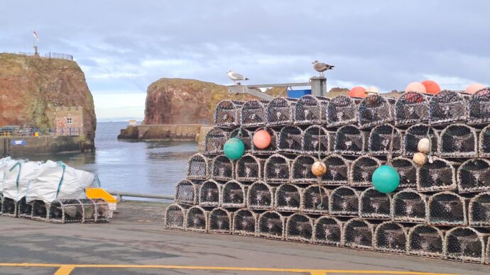 Lobster pots at Dunbar Harbour
